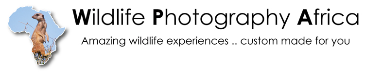 Wildlife Photography Africa