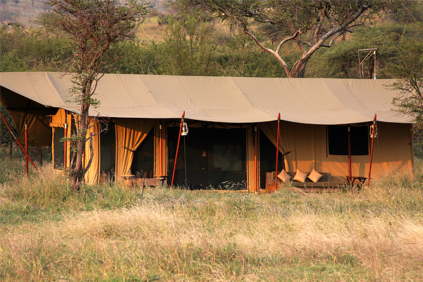 Lemala guest tent