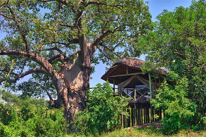Tent / Room, Tarangire river Camp
