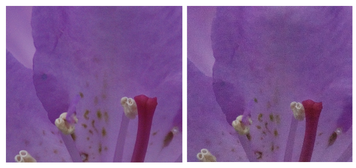 Left ISO320 .. Right ISO1600