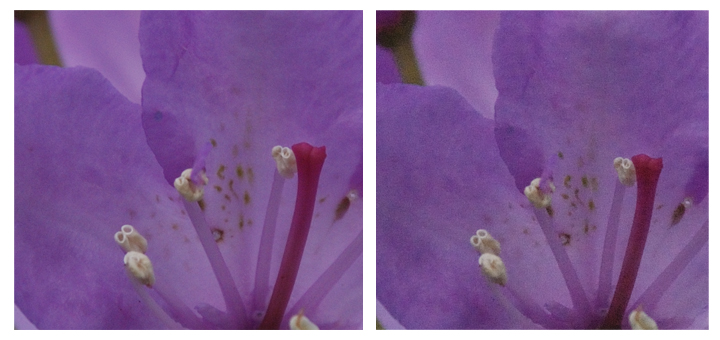 Left ISO 320 .. Right ISO1600