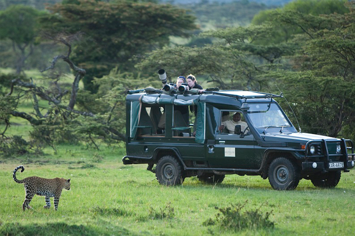 Kicheche - Game drive