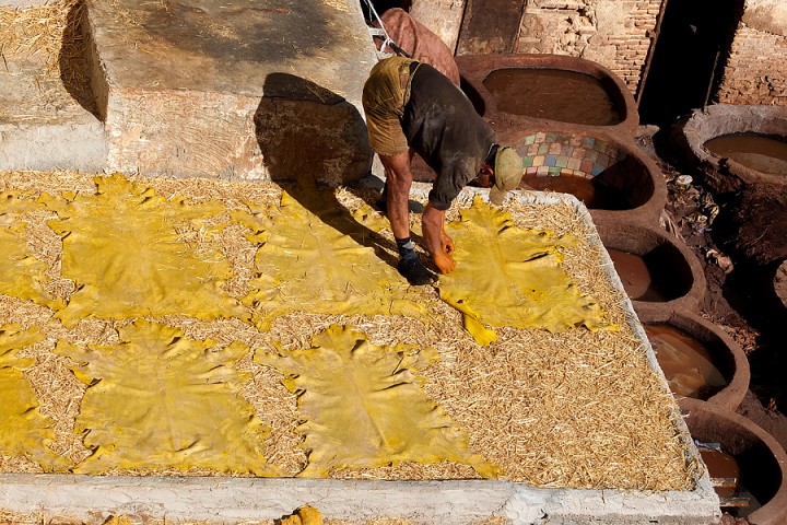 Laying the hides out to dry