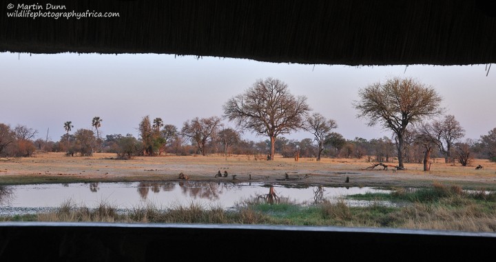 An early morning view of the waterhole at Bomani Tented Lodge