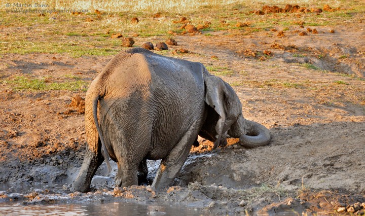 fun in the mud