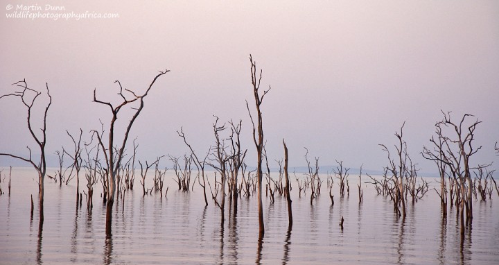 Typical view of Lake Kariba