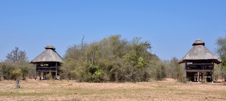 Guest rooms at Rhino Safari Camp