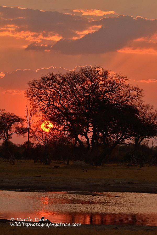 Sunset in Hwange