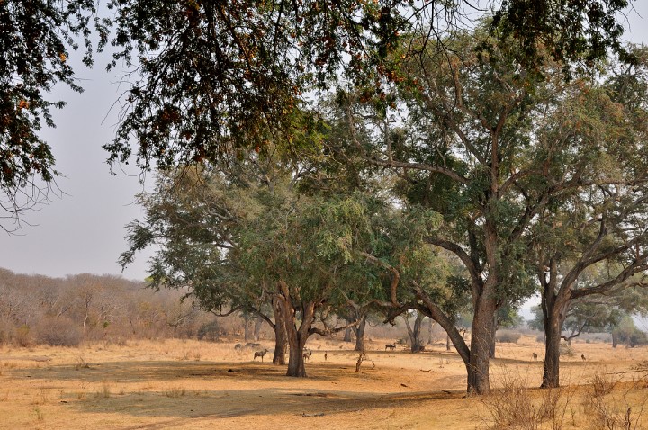 The view from the terrace at Ursula Camp