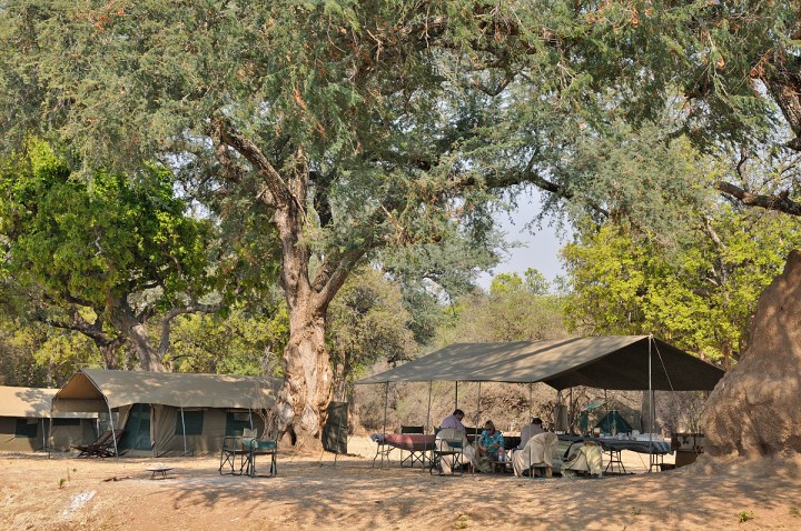 Our camp on the banks of the Zambezi