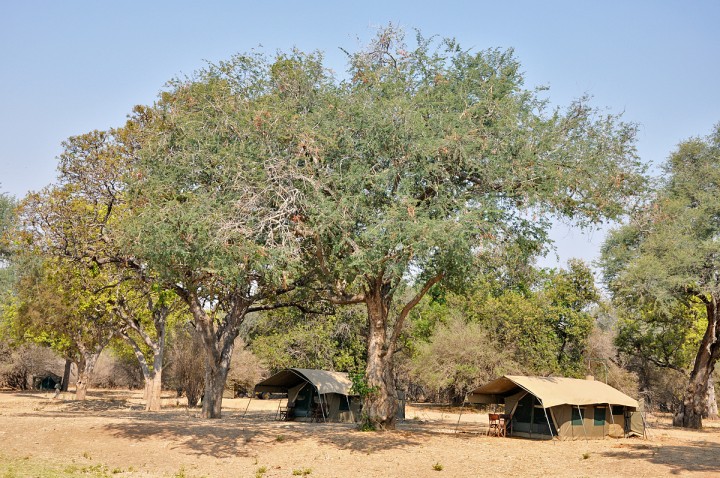 camp on banks of Zambezi