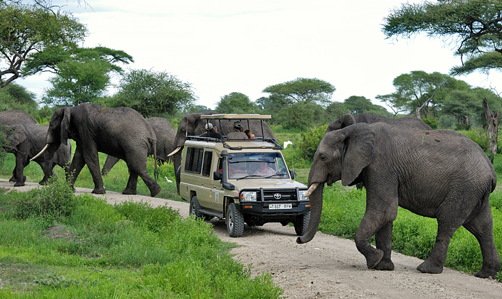 'Pop top' style game vehicle most commonly used in Kenya & Tanzania
