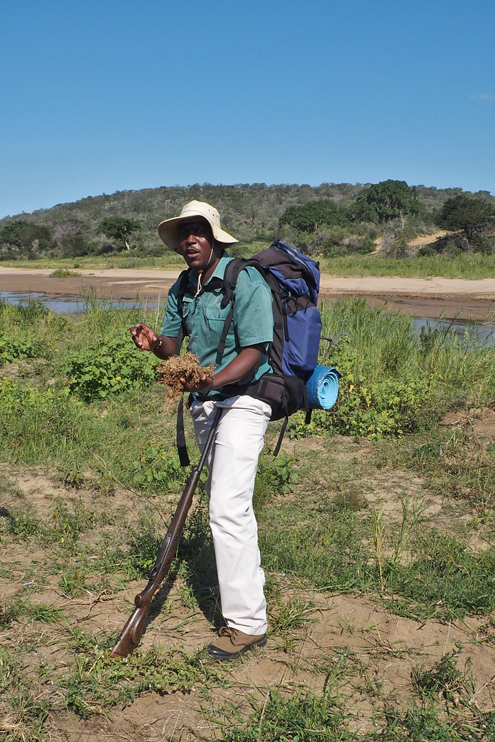 our Guide, Sebelo