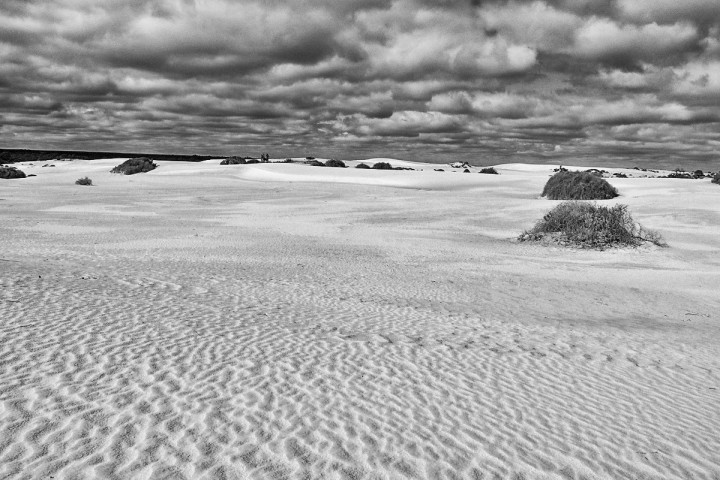 Mungo National Park