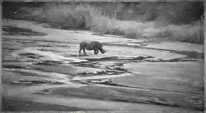 Rhino crossing the river - Charcoal