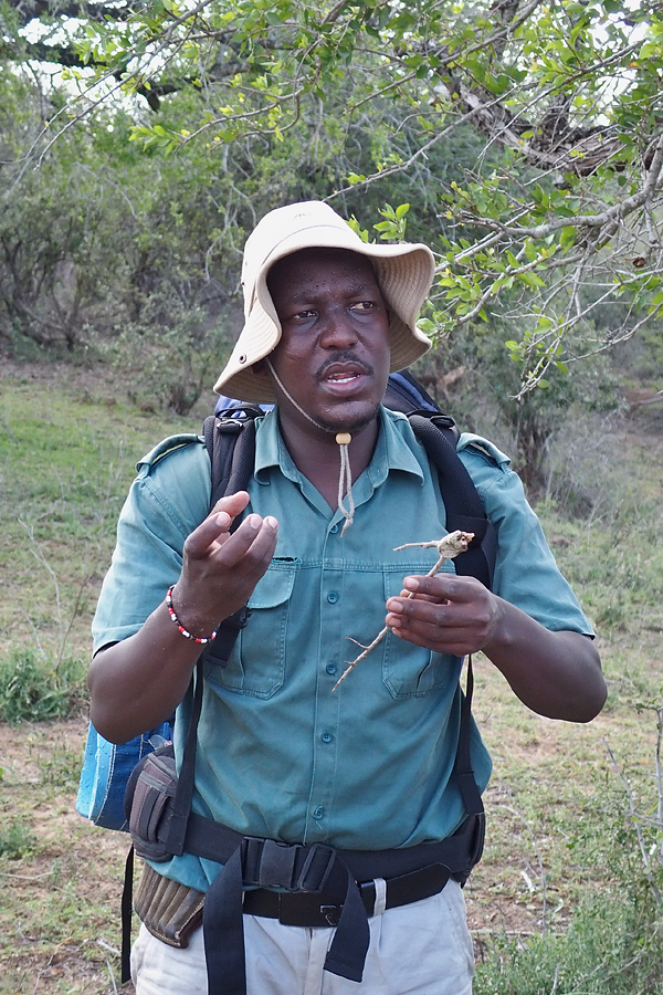 Sebelo - our guide