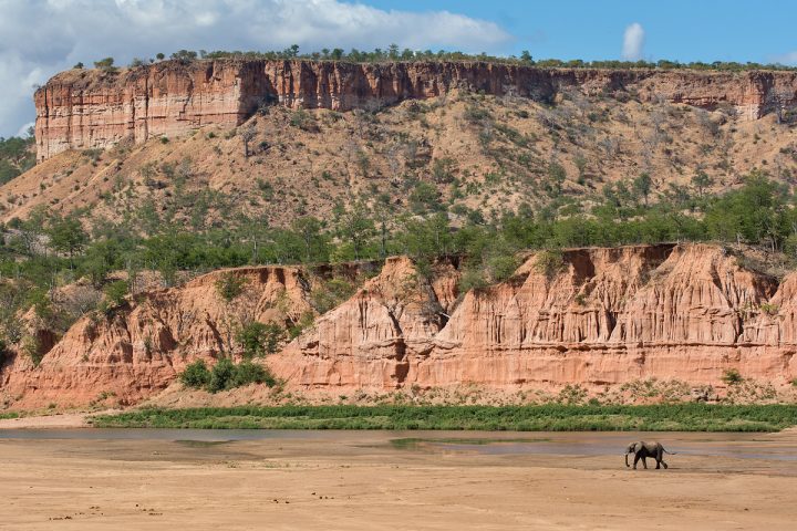 Even the elephants are dwarfed by the towering Chilojo Cliffs