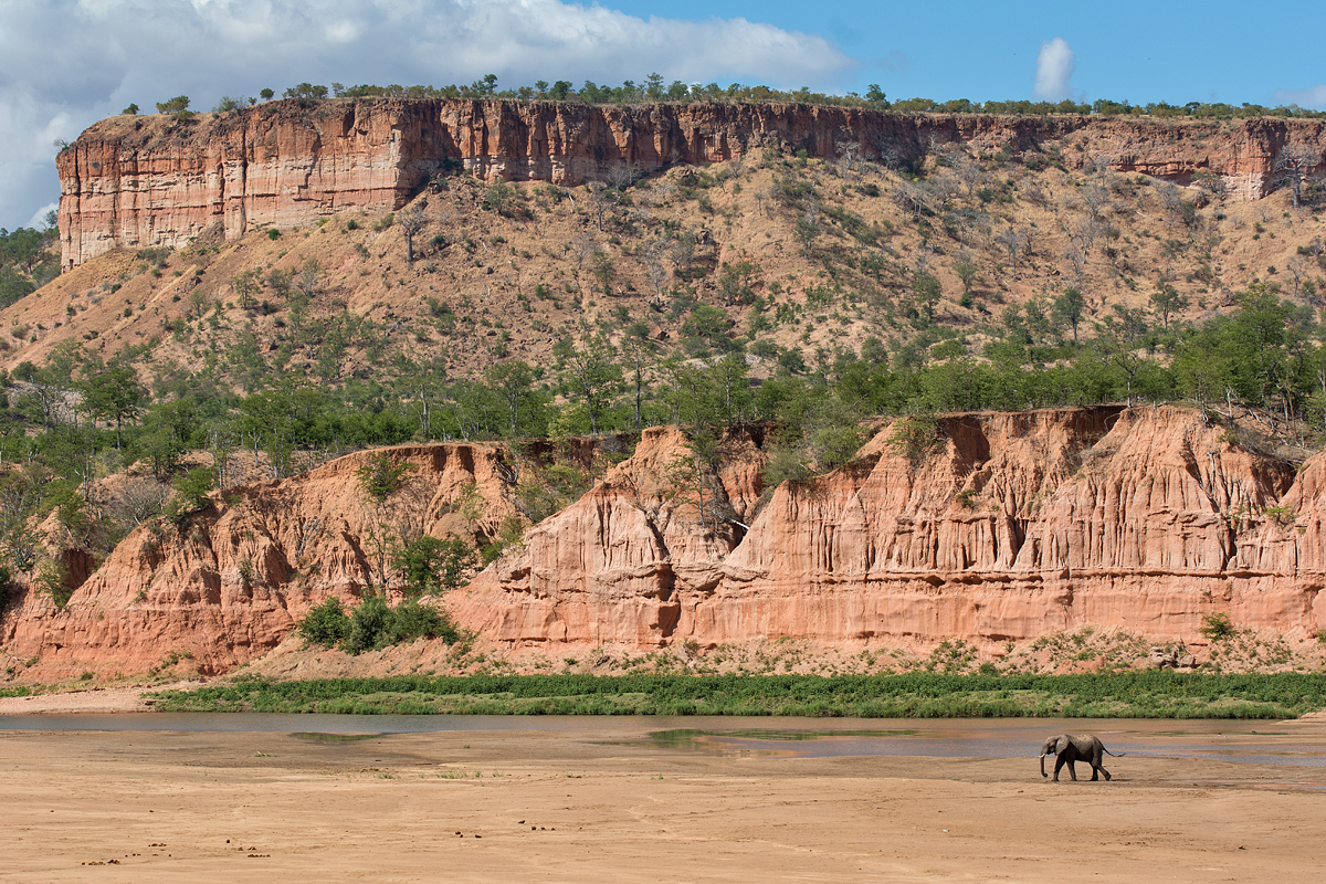 elephant walking below Chilojo cliffs, Gonarezhou NP