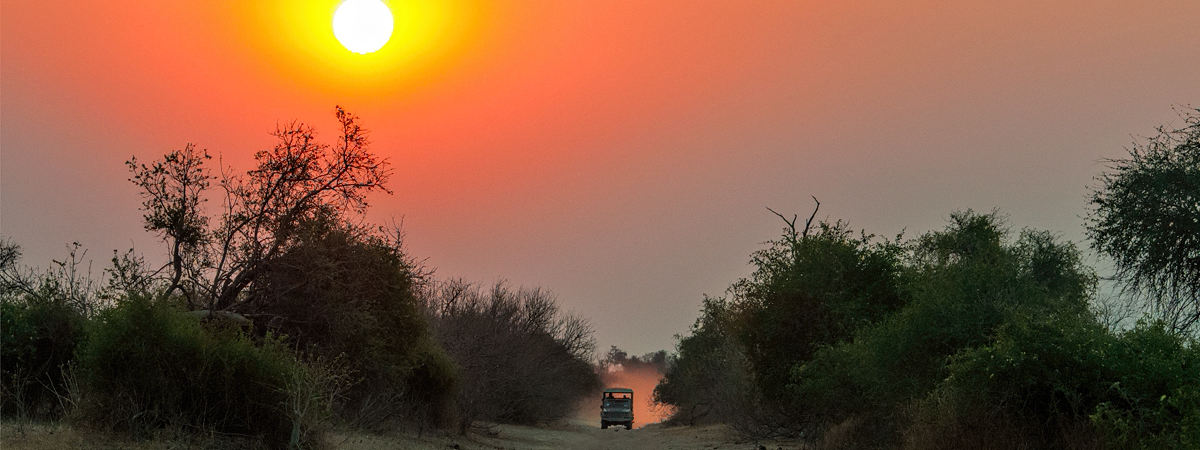 Wildlife Photography Africa