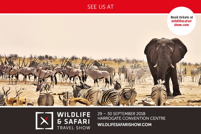 safari show frequently visited