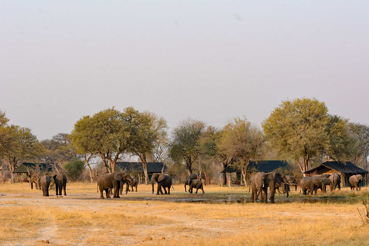 Camps & Lodges blend in