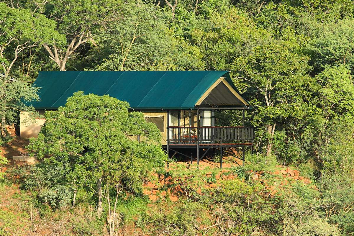 The tents blend into the surrounding bush