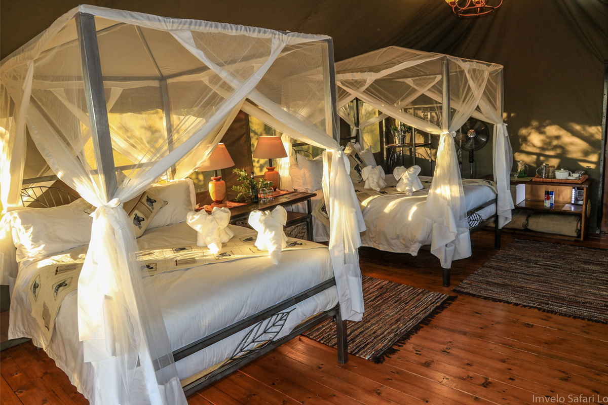 Guest Tent Interior - Hwange