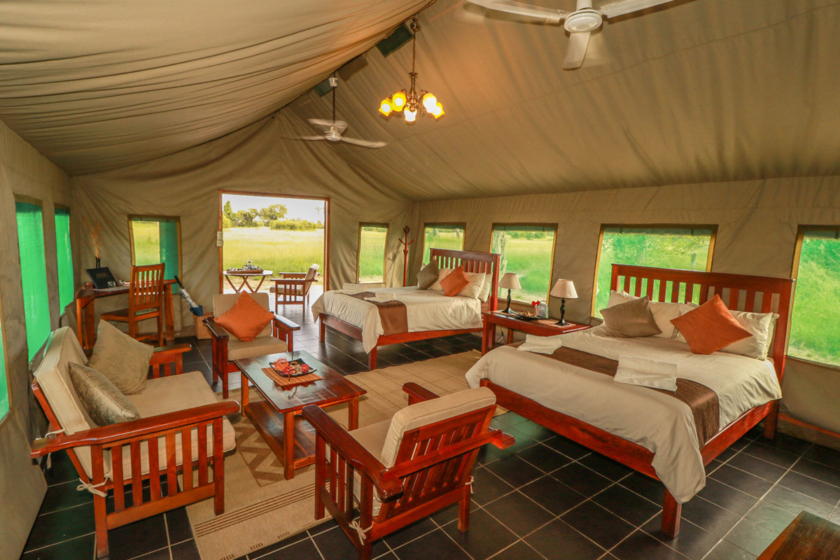 Guest Tent Interior, Hwange