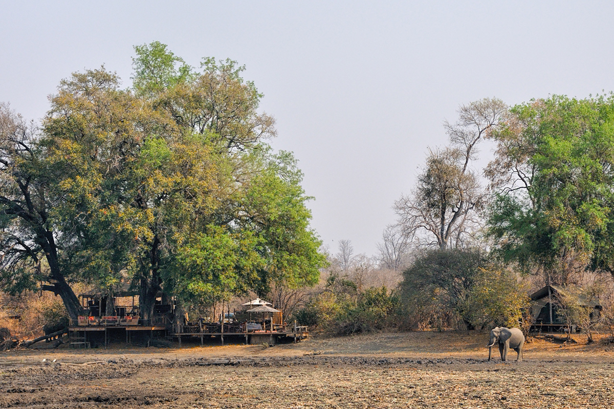 Built around a water hole