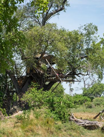 treehouse, Delta Camp, Okavango Delta