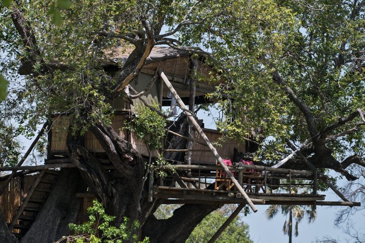 treehouse, Delta Camp, Okavango Delta