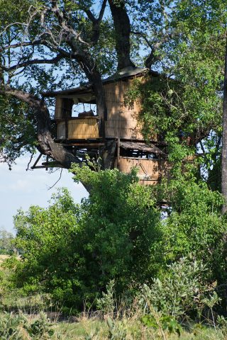 treehouse, Delta Camp, Okavango Delta