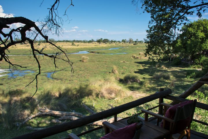 Treehouse view, Delta Camp, Okavango Delta