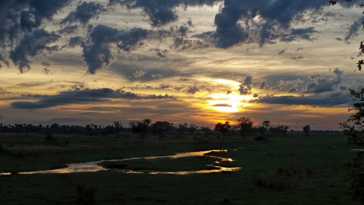 Sunrise over Chief's Island, Okavango Delta