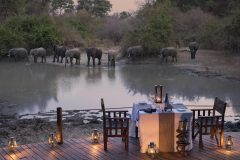 elephants across the pan at kanga camp, mana pools np