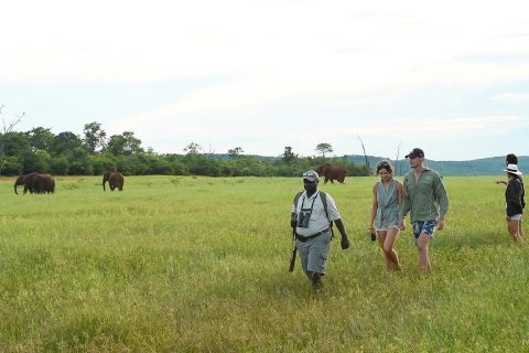 wwalking safari, Matusadona NP