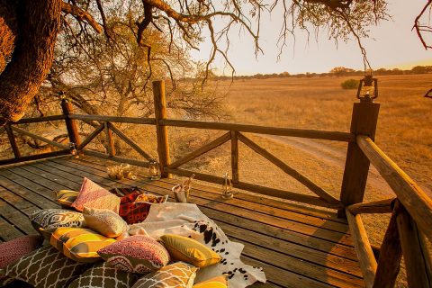 View from The Dove's Nest, The Hide, Hwange NP