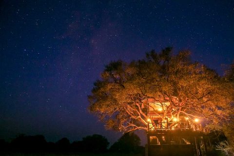 The Dove's Nest, The Hide, Hwange NP