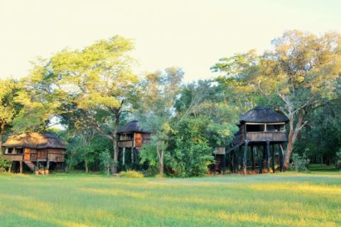 Ivory Lodge, view of guest rooms from gardens