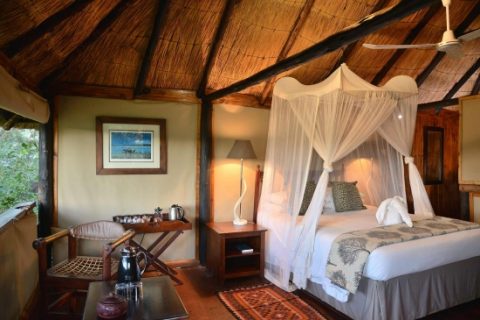 Ivory lodge, guest room