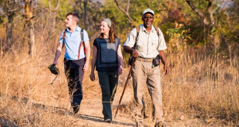 game walk at kaingu safari lodge