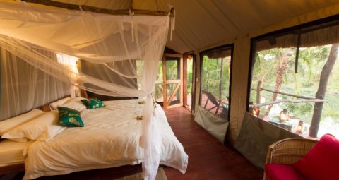 guest accommodation, kaingu safari lodge, kafue np