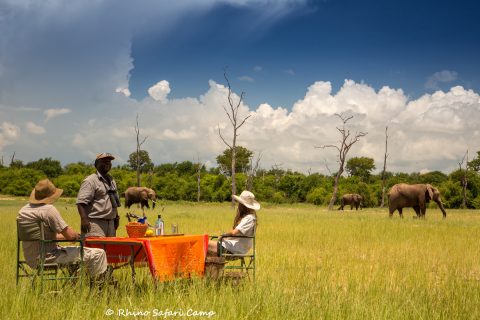 rhino safari camp, sundowners