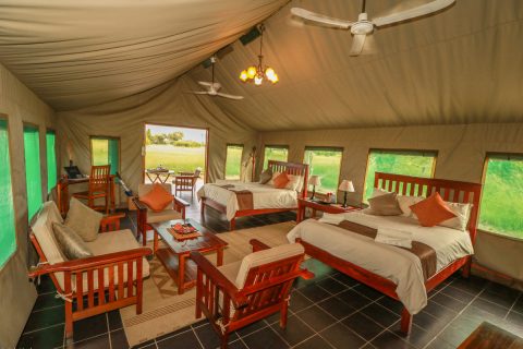 Guest tent Interior, Bomani Tented Lodge, Hwange NP