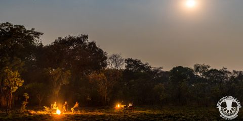 Kasonso Busanga at night with campfire