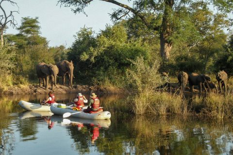 canoeing at Zambezi Sands