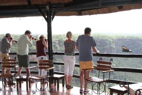 Photographing Verraux's Eagle at Gorges Lodge, Victoria Falls