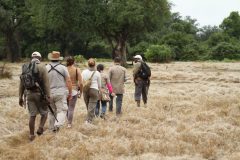 foot safari mana pools np