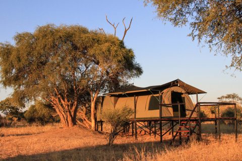 Guest tent, Jozibanini Camp, Hwange NP
