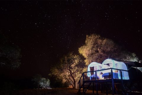 under the stars at Jozibanini Camp, Hwange NP